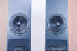 Dunlavy Audio Labs SC-IV Floorstanding Speakers