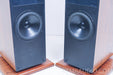 Dunlavy Audio Labs SC-IV Floorstanding Speakers
