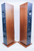 Dunlavy Audio Labs SC-IV Floorstanding Speakers