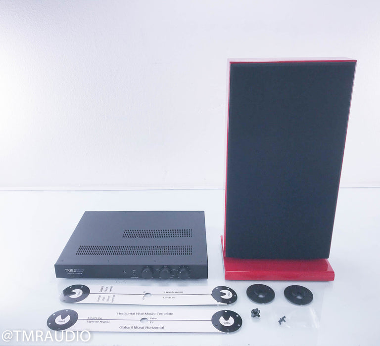 Totem Tribe In-Room 2x8 Subwoofer w/ Amplifier