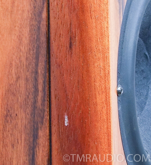 Vienna Acoustics Mahler Floorstanding Speakers
