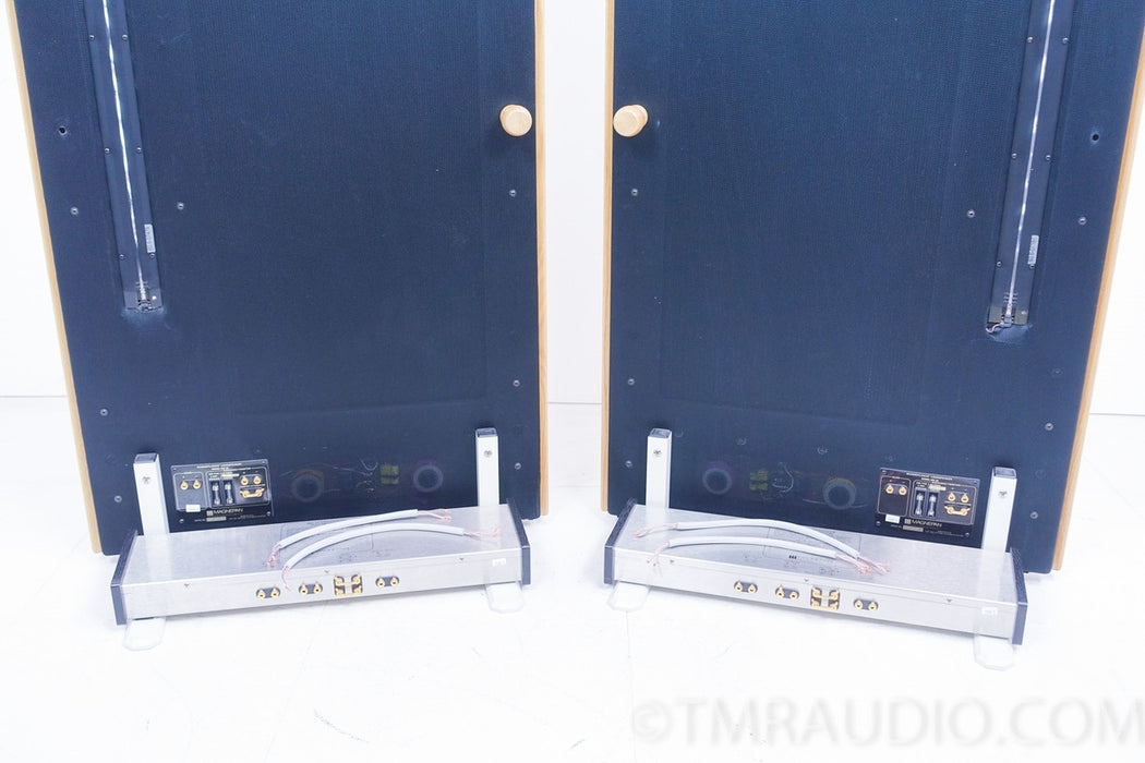 Magnepan MG-20 Speakers