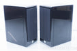 Vienna Acoustics Haydn Grand Symphony Speakers