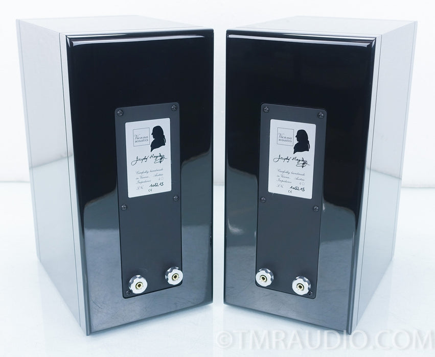Vienna Acoustics Haydn Grand Symphony Speakers
