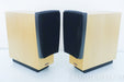 Dynaudio Confidence C1 Speakers
