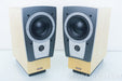 Dynaudio Confidence C1 Speakers