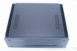 Coda / Innersound Electrostatic Mono Block Amplifier