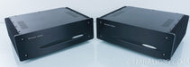 Coda / Innersound Electrostatic Mono Block Amplifier
