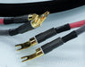 MIT Oracle V2.2 Speaker Cables