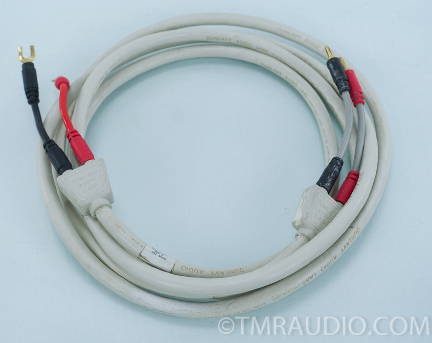 Dunlavy Speaker Cable