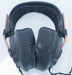 Mr Speakers Mad Dog Headphones