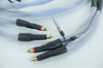 Synergistic Research Resolution Reference mk II RCA Cables