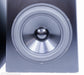 YG Acoustics Kipod II NVS Collaboration