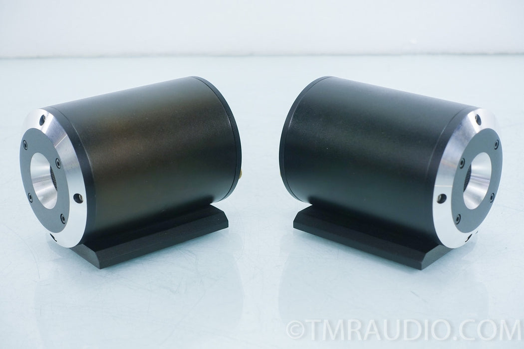 LCY LCY-100K Ribbon Tweeter