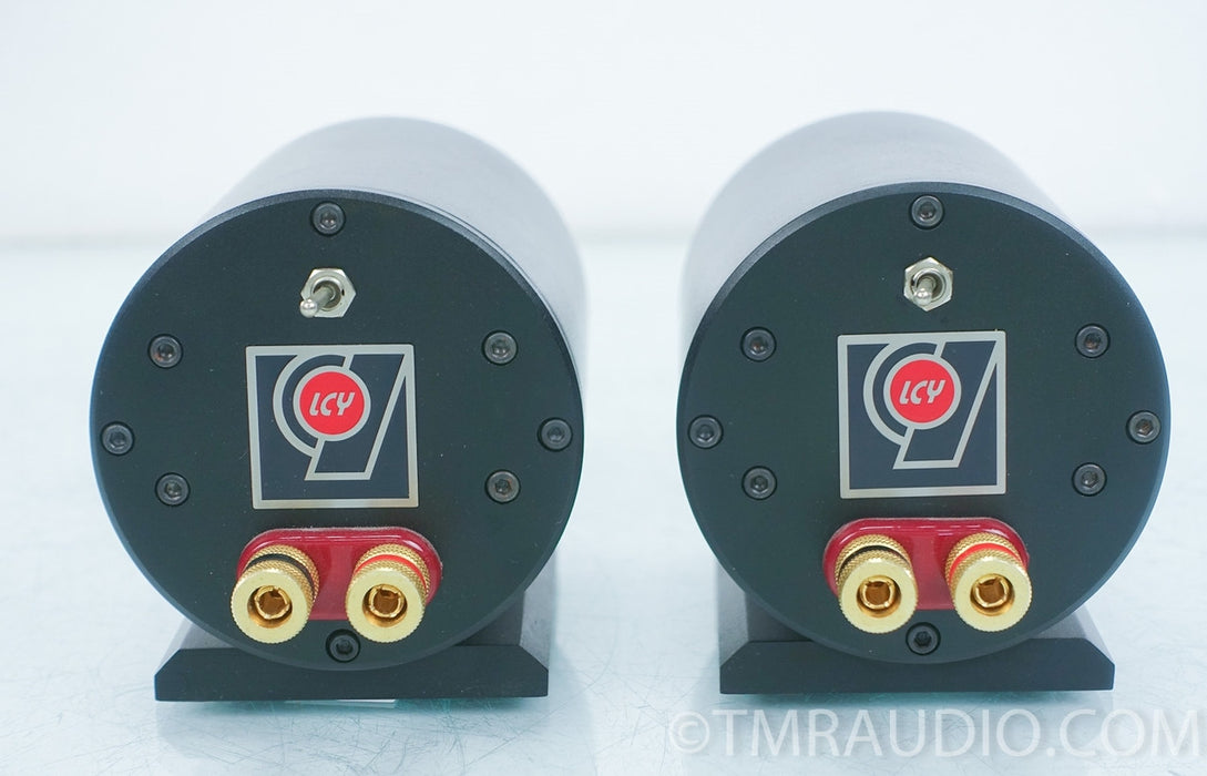 LCY LCY-100K Ribbon Tweeter