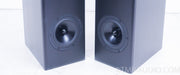 Endeavor Audio Engineering E-3 Speakers