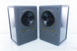 Tannoy System 10 DMT II Speakers