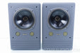 Tannoy System 10 DMT II Speakers