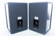 Tannoy System 10 DMT II Speakers