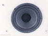 Diamond Audio S2 HPM-4100 Computer Speaker System