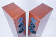Dynaudio Contour 3.0 Floorstanding Speakers