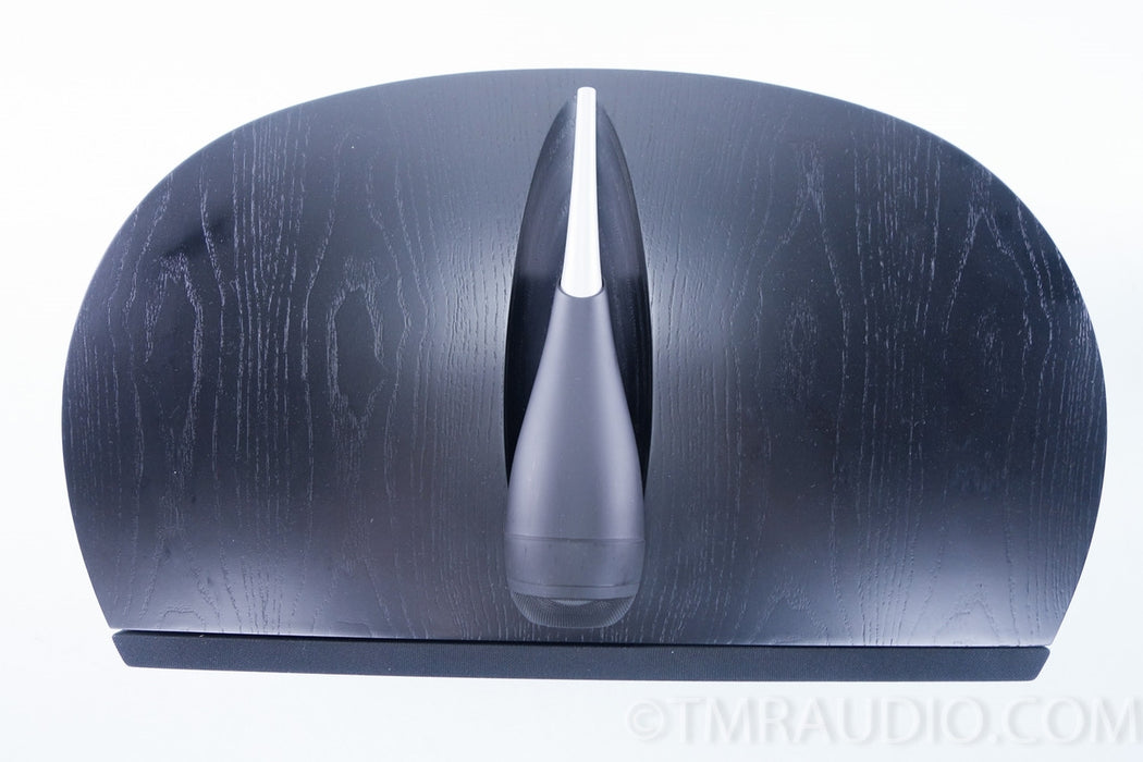 B&W HTM2 Center Channel Speaker