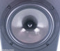 Ascend Acoustics CMT-340 SE Bookshelf Speakers