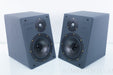 Reference 3A MM De Capo Be Speakers