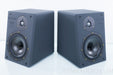 Reference 3A MM De Capo Be Speakers