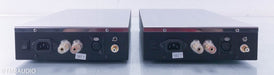 AcousticReality eAR 1001 Mono Power Amplifiers w/ Level 2 Upgrade