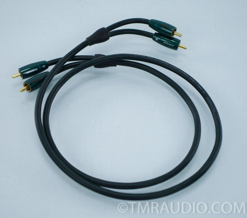 Audioquest Evergreen RCA Cables