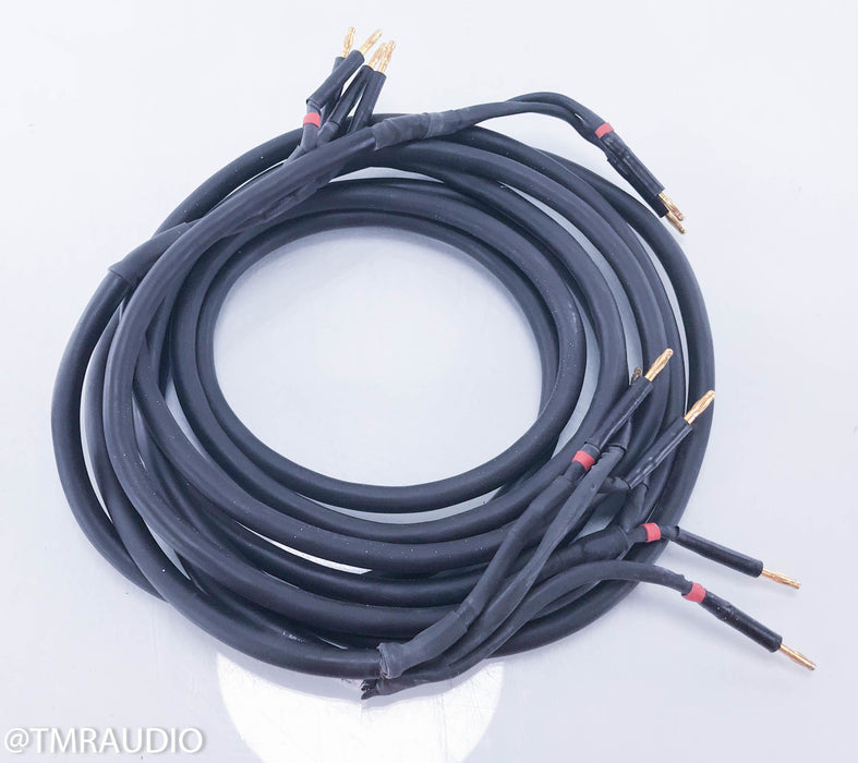 Piega Opus 1 Bi-Wire Speaker Cables