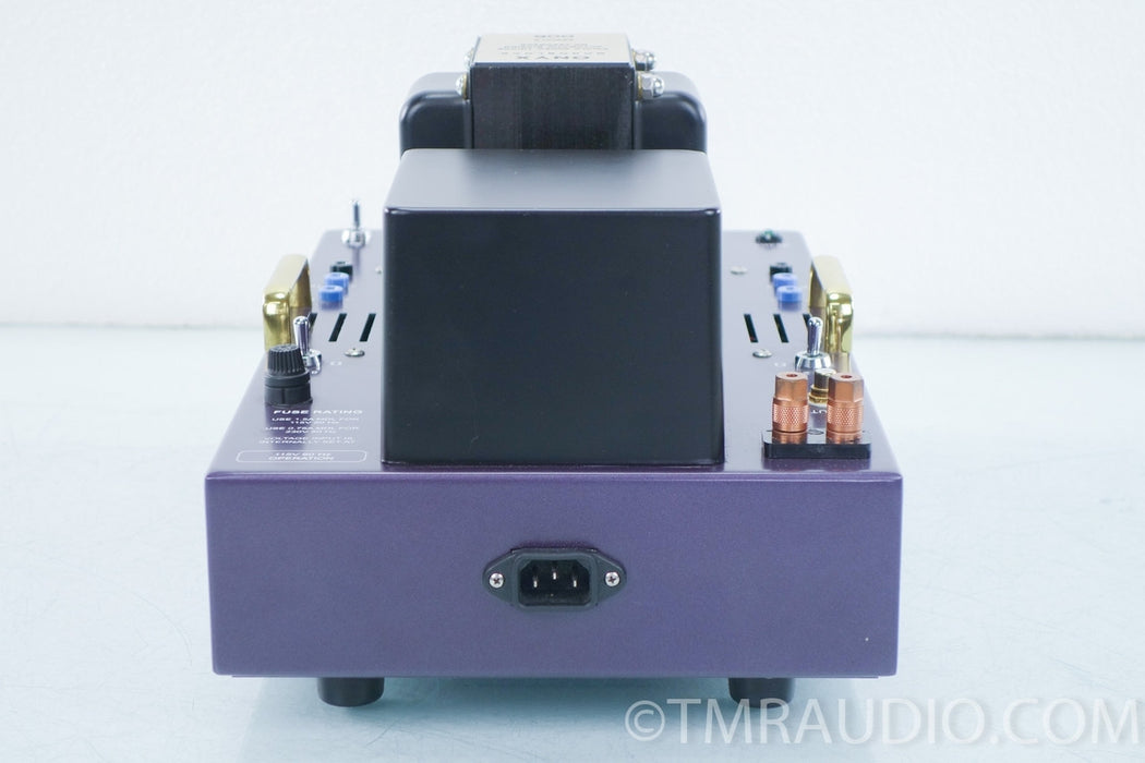 Wyetech Labs Onyx Mono Tube Amplifiers