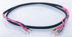 AudioQuest Rocket 88 Biwire Speaker Cable