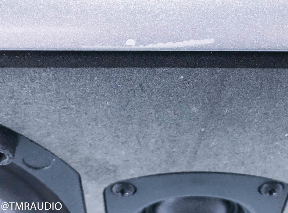 ATC C4CA Active Center Channel Speaker