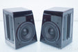 Sunfire CRM-2 Cinema Ribbon Speaker