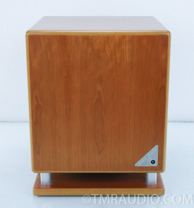 Essex Audio SW1 Powered Subwoofer