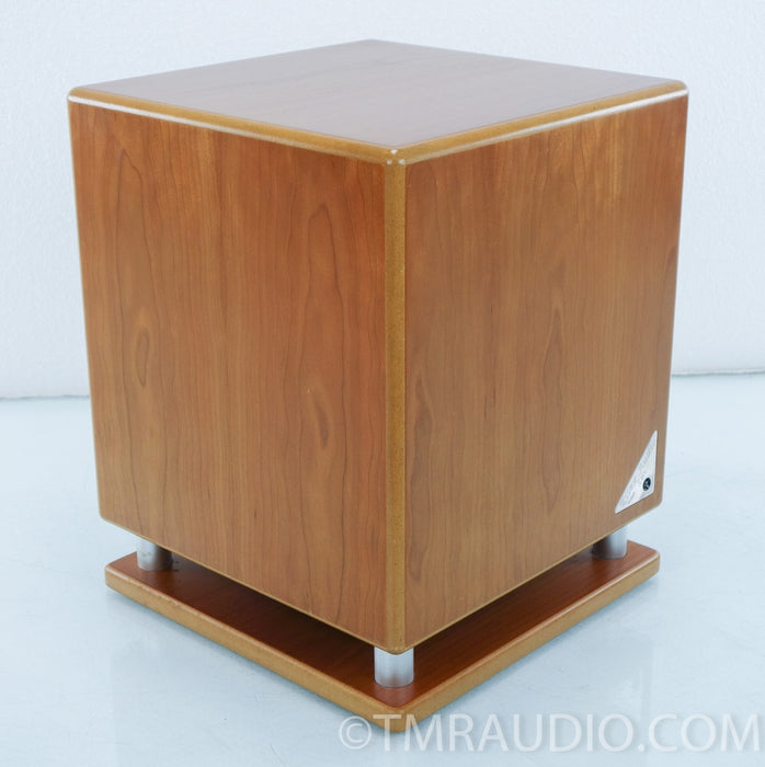 Essex Audio SW1 Powered Subwoofer