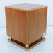Essex Audio SW1 Powered Subwoofer