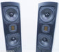 GoldenEar Triton 7 Floorstanding Speakers