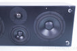 Aerial Acoustics CC3 Center Channel Speaker