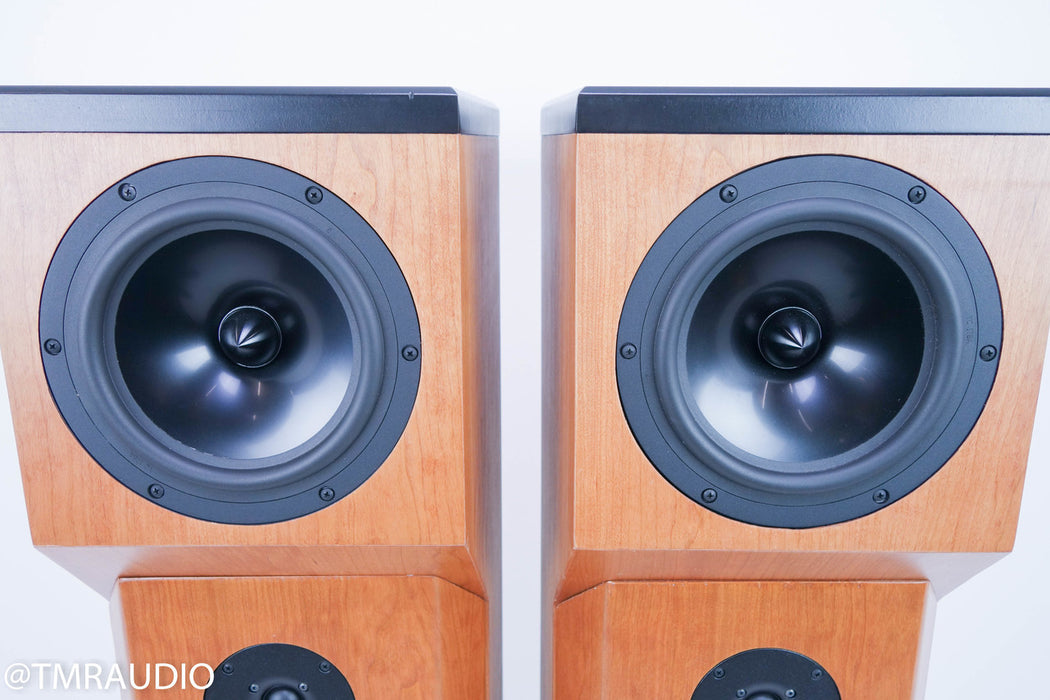 Tyler Acoustics D2X Floorstanding Speakers / Mastering Monitors