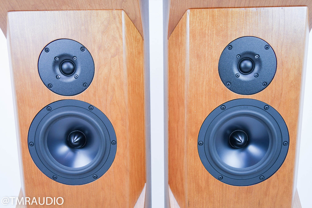 Tyler Acoustics D2X Floorstanding Speakers / Mastering Monitors