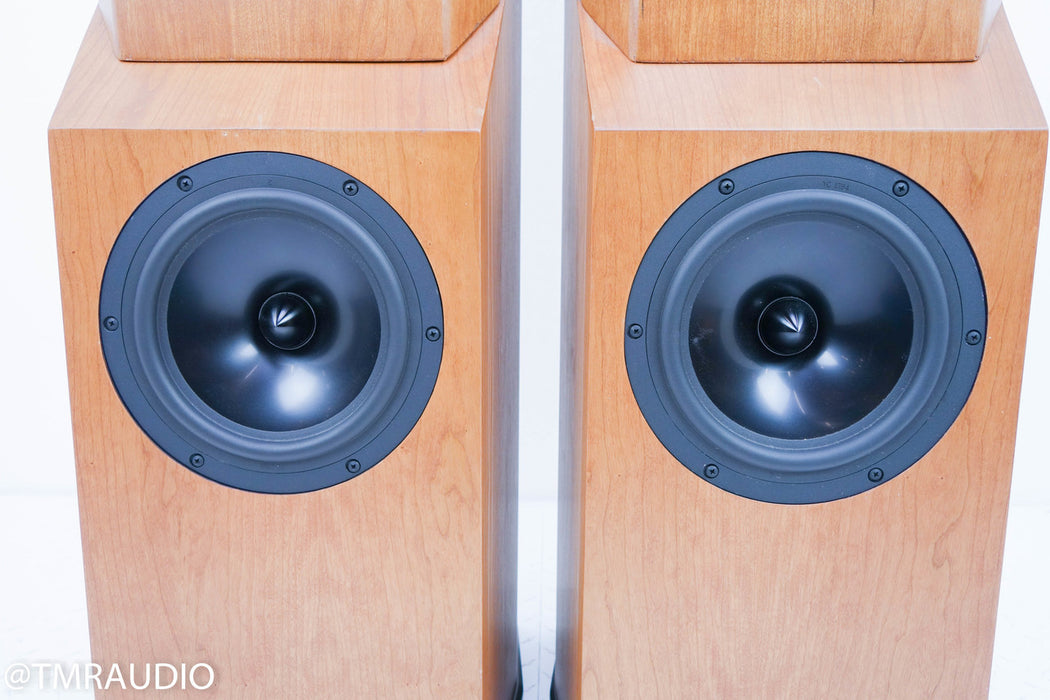 Tyler Acoustics D2X Floorstanding Speakers / Mastering Monitors