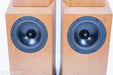 Tyler Acoustics D2X Floorstanding Speakers / Mastering Monitors