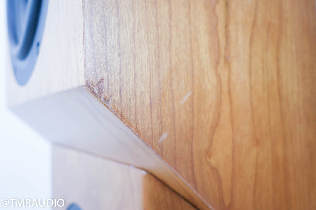 Tyler Acoustics D2X Floorstanding Speakers / Mastering Monitors