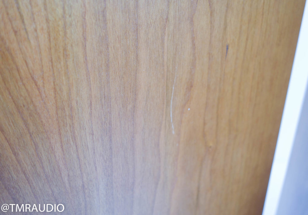 Tyler Acoustics D2X Floorstanding Speakers / Mastering Monitors