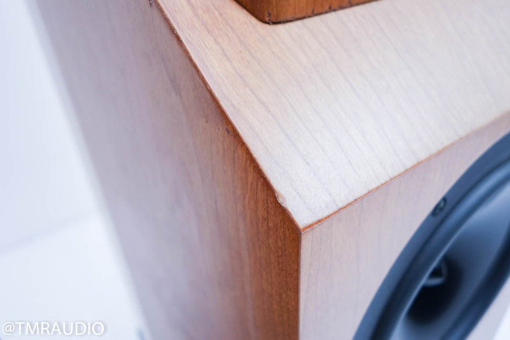 Tyler Acoustics D2X Floorstanding Speakers / Mastering Monitors