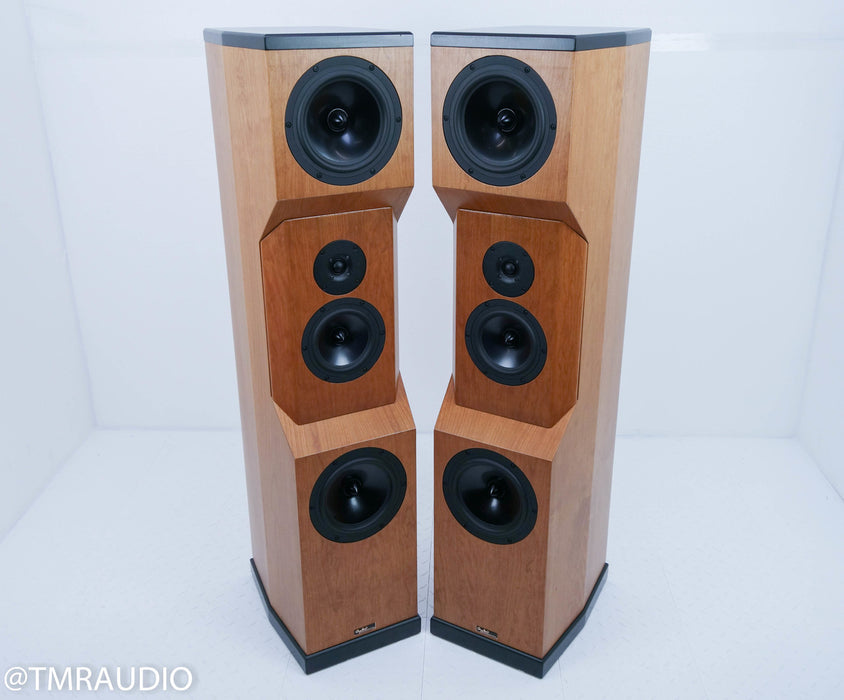 Tyler Acoustics D2X Floorstanding Speakers / Mastering Monitors