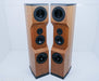 Tyler Acoustics D2X Floorstanding Speakers / Mastering Monitors